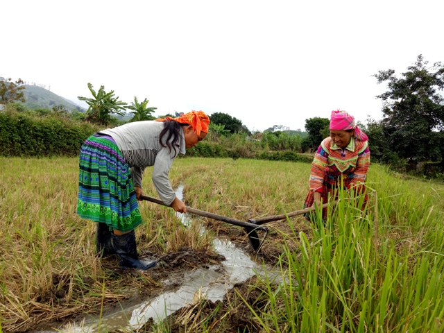 Phụ nữ xã Cư San (huyện M'Đrắk) giúp nhau khơi thông nguồn nước vào ruộng.