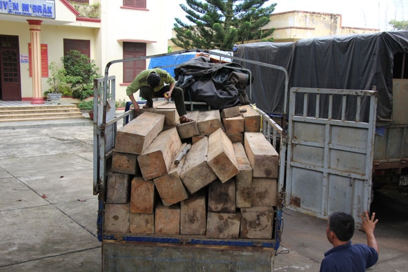 Một xe chở gỗ lậu bị lực lượng chức năng bắt giữ (ảnh minh họa).