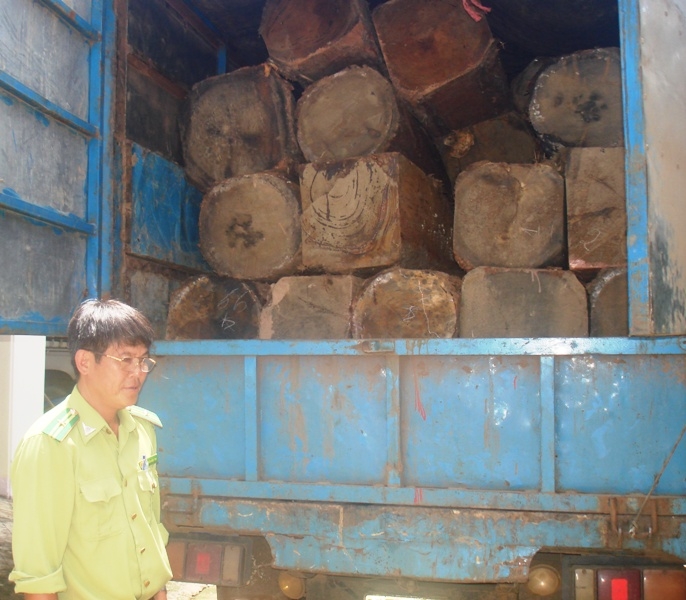 Một xe chở gỗ lậu Kiểm lâm Vườn Quốc gia Yok Đôn bắt giữ