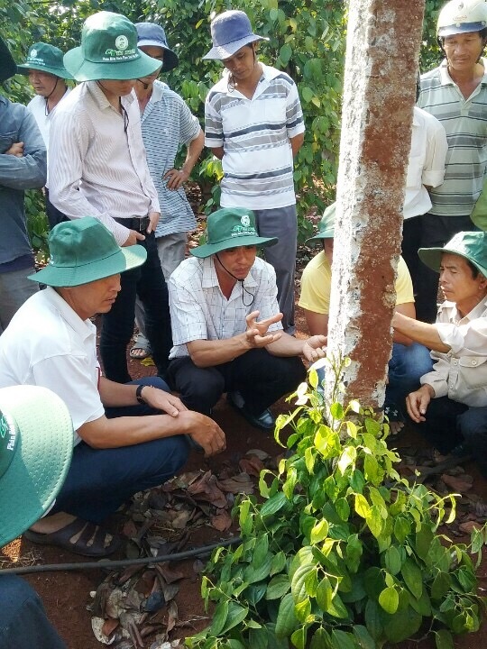 Đông đảo nông dân tham gia buổi tập huấn hiện trường tại thôn Đại Đồng.