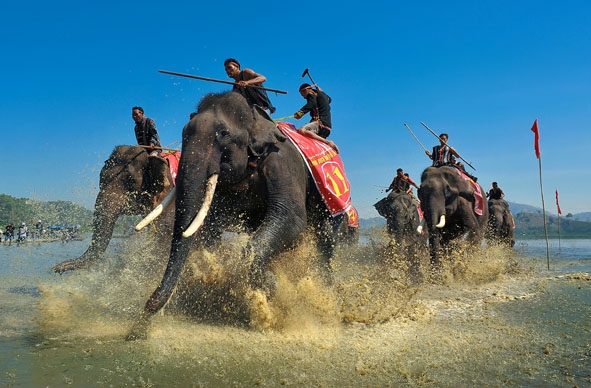 Hội voi hằng năm được tổ chức tại Buôn Đôn - Đắk Lắk là một trong những nội dung hấp dẫn du khách. 