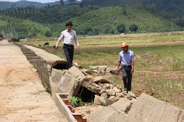 Cán bộ nông nghiệp huyện Krông Ana kiểm tra kênh mương tiếp giáp với đê bao Quảng Điền  đang bị hư hỏng nặng.