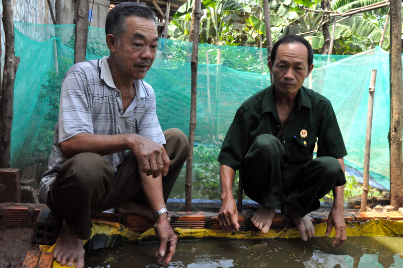 Các cựu chiến binh huyện Krông Ana chia sẻ kinh nghiệm phát triển kinh tế. (Ảnh minh họa)