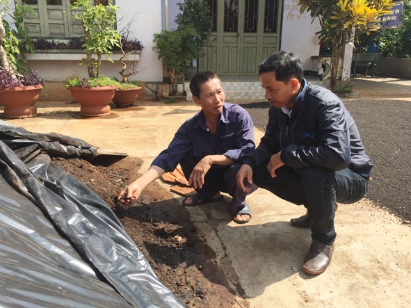 Ông Nguyễn Văn Trích (trái) giới thiệu phân hữu cơ vi sinh được ủ từ vỏ cà phê. Ảnh: T.Dũng