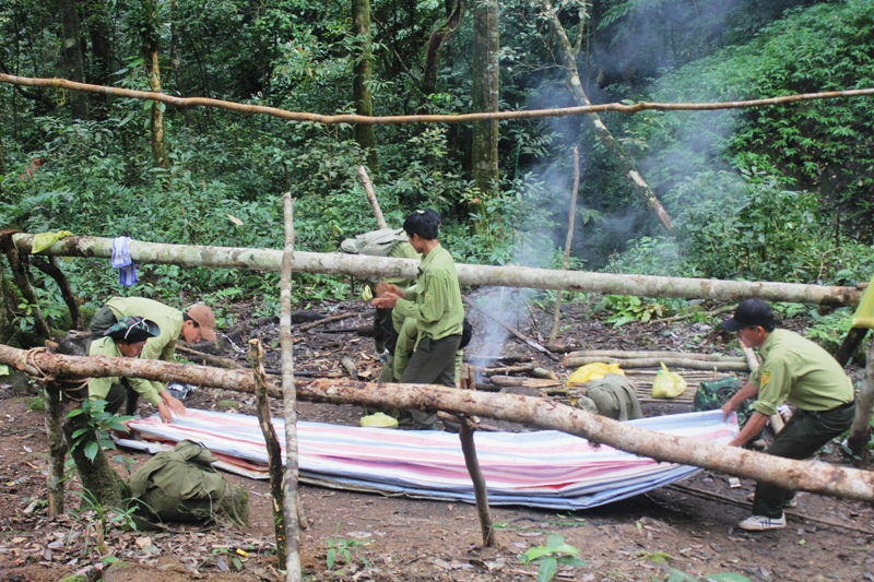 Kiểm lâm Vườn Quốc gia Chư Yang Sin dựng lán trại để nghỉ ngơi trong một chuyến tuần tra rừng dài ngày 