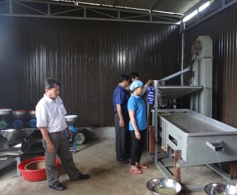 Hệ thống chế biến đậu xanh tại HTX Nông nghiệp và Dịch vụ nông thôn Việt (ảnh: M.Thanh)