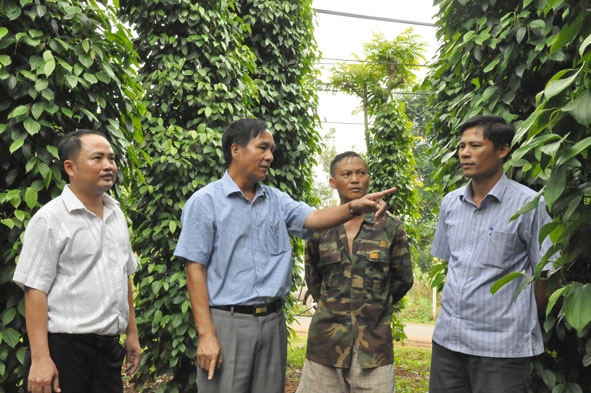 Bí thư Huyện ủy Cư Kuin Lê Thái Dũng (thứ hai từ trái sang) hỏi thăm tình hình sản xuất của bà con nông dân.  