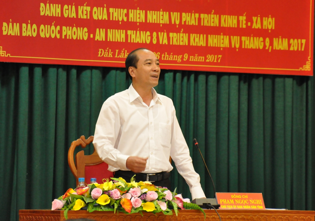 Chủ tịch UBND tỉnh Phạm Ngọc Nghị phát biểu chỉ đạo tại hội nghị
