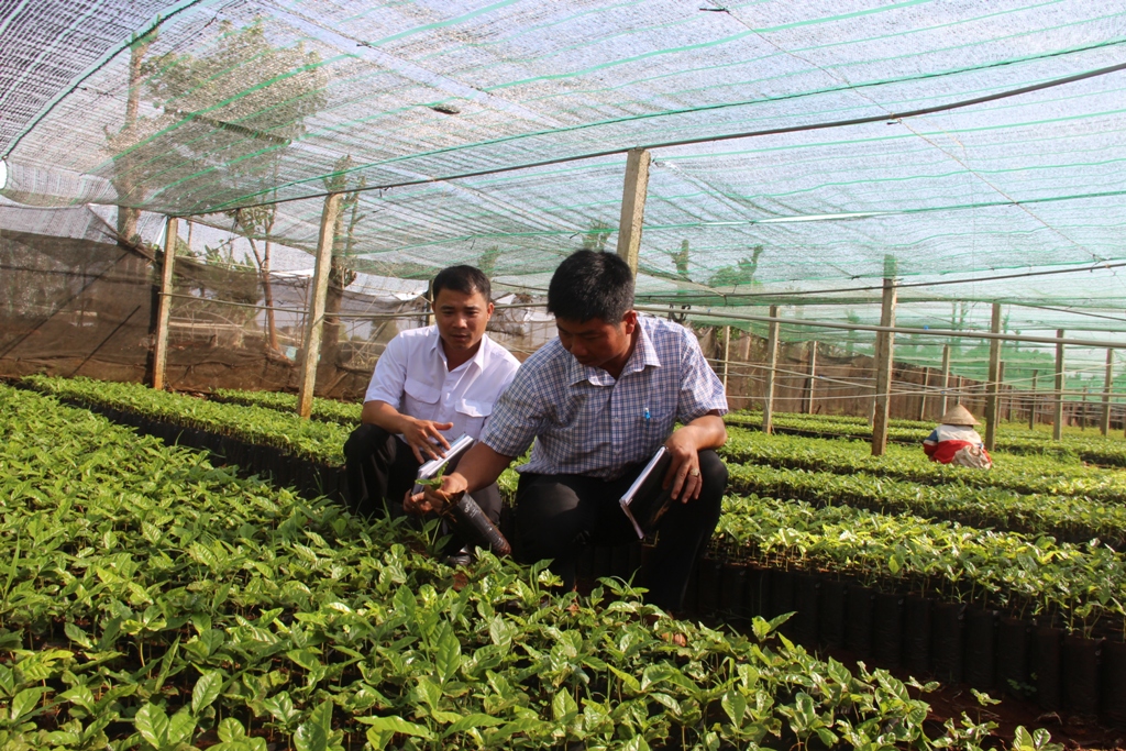 Một vườn ươm thuộc Dự án Chuyển đổi nông nghiệp bền vững.