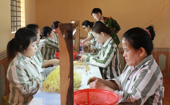 Phạm nhân nữ ở Trại giam Đắk Trung học nghề bóc tách hạt điều. 