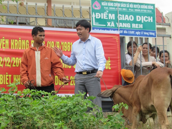 Bí thư Huyện ủy Krông Bông Nguyễn Minh Huấn trao bò tặng một hộ dân có hoàn cảnh khó khăn tại xã Yang Reh. 