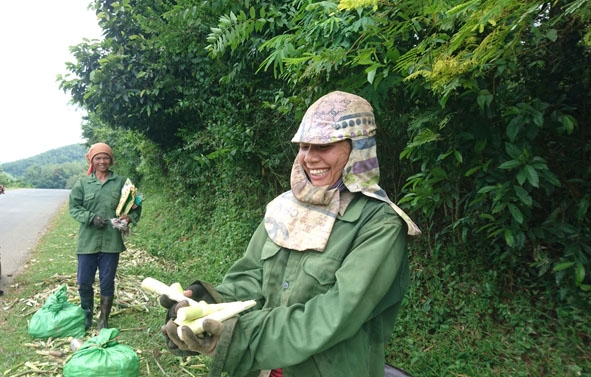 Hai phụ nữ M'nông tại xã Yang Tao, huyện Lắk, sau một ngày đi lấy măng rừng. 
