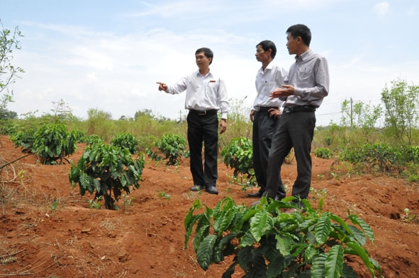 Cán bộ Agribank Đắk Lắk kiểm tra hiệu quả vốn vay sản xuất tại một doanh nghiệp. 