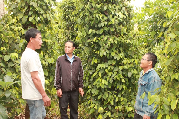Cán bộ Hội Nông dân xã Phú Xuân thăm quan trang trại tổng hợp của gia đình anh Nguyễn Thanh Phúc  ở thôn  Xuân Lộc. 