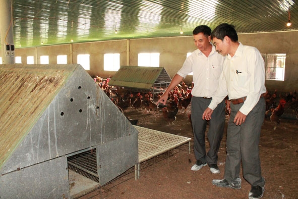 Cán bộ Trạm Chăn nuôi – Thú y huyện Ea Kar (bên trái) kiểm tra điều kiện vệ sinh, chuồng trại của Trang trại cung ứng giống gia cầm Nguyệt Thơ. 
