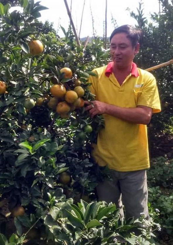 Nhờ  chuyển đổi cây trồng hợp lý, mỗi năm gia đình ông Vũ Văn Vĩnh (thôn 3, xã Cư Elang) có thu nhập hàng tỷ đồng.    