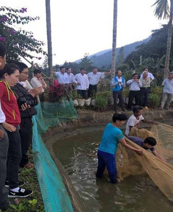 Nông dân tham quan mô hình nuôi cá lóc đen tại hộ ông Ngô Minh Chính (xã Cư Mta, huyện M'Đrắk). 