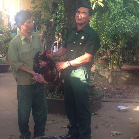 Ông Tuấn (trái) giới thiệu cách chăm sóc gà cho một hội viên cựu chiến binh đến học hỏi kinh nghiệm. 