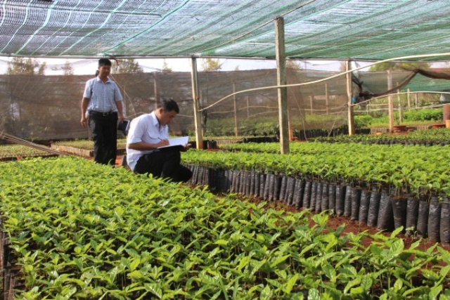 Một vườn ươm được tham gia Dự án Chuyển đổi nông nghiệp bền vững