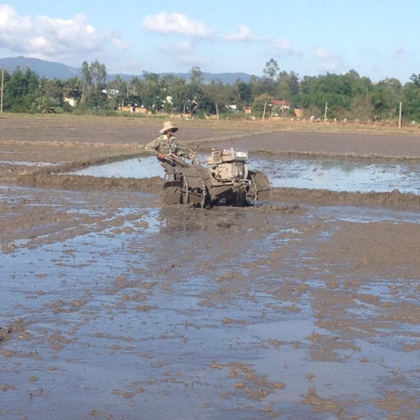 Nông dân tổ 1 (thị trấn M'Đrắk) tập trung làm đất xuống giống vụ đông xuân  2017-2018.  