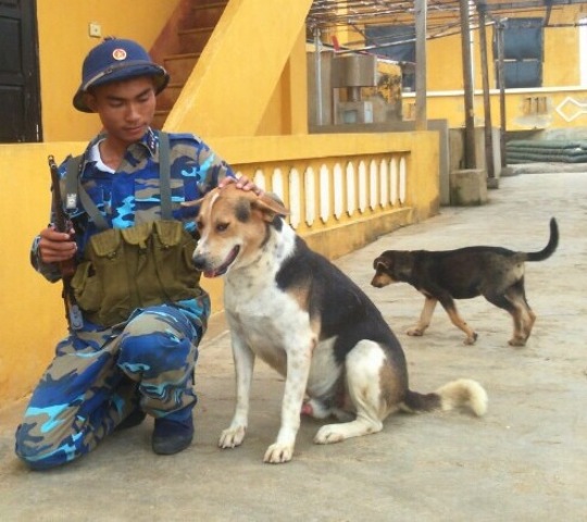 Chiến sĩ đảo An Bang và chú chó Rex.