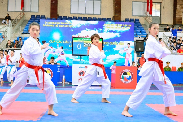 Các võ sĩ tại Giải vô địch cúp các câu lạc bộ mạnh karatedo quốc gia  năm 2017. 