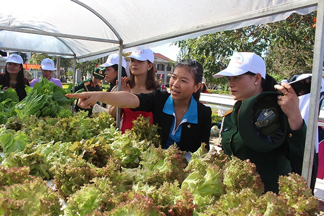 Chị Nguyễn Thị Hồng Nhi giới thiệu mô hình trồng rau thủy canh của gia đình.  