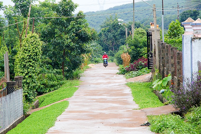 -	Nhiều tuyến đường giao thông nông thôn ở xã Ea Nam được đầu tư xây dựng giúp người dân thuận lợi trong đi lại, sản xuất.