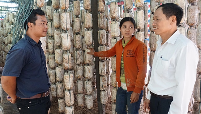 Trưởng buôn Êcăm Y Nen Hmốk (bìa trái) đến thăm mô hình trồng nấm của một hộ dân trong buôn.