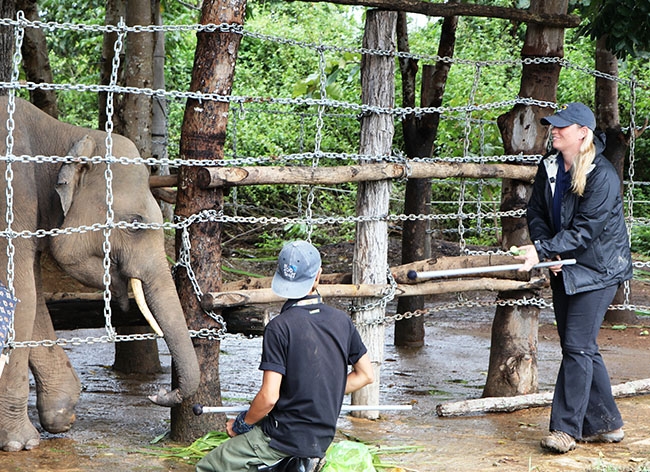  Bà Erin Ivory chuyên gia  cao cấp về  huấn luyện voi của Vườn thú Noth Carolina (bìa phải) đang  hướng dẫn nhân viên  Trung tâm  Bảo tồn voi  Đắk Lắk cách huấn luyện voi.   