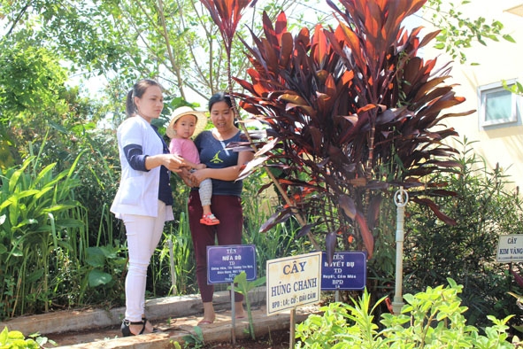 Y sĩ Đông y của Trạm Y tế xã Ea Blang hướng dẫn người dân cách sử dụng các loại cây thuốc nam. 