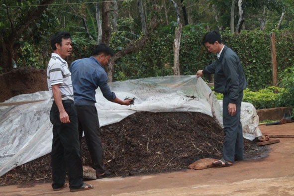 Người dân xã Ea Kpam (huyện Cư M’gar) xử lý chất thải nông nghiệp thành phân bón hữu cơ.  