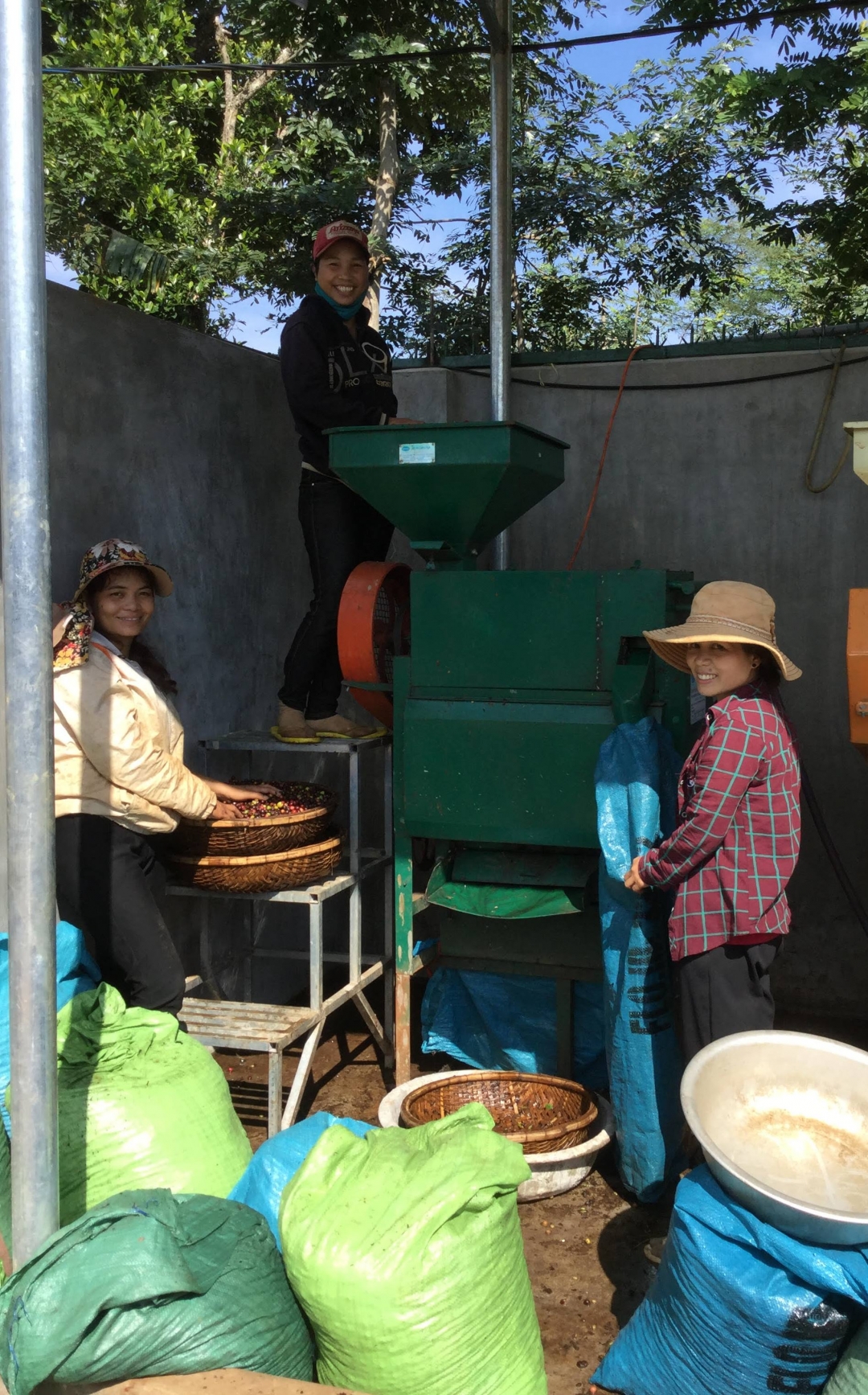 Sơ chế cà phê tại HTX Nông nghiệp, dịch vụ Công Bằng Ea Tu