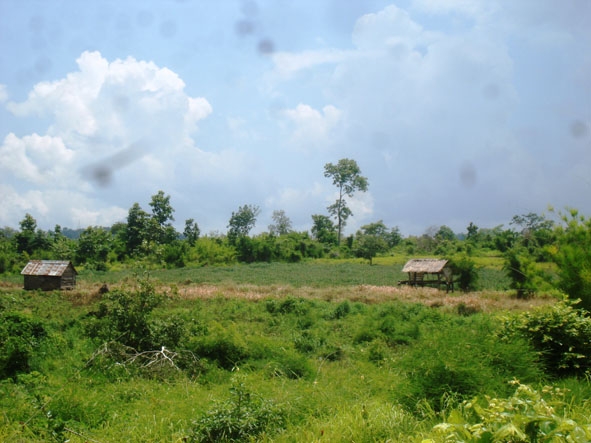 Dân di cư tự do dựng lều trên rừng và đất lâm nghiệp lấn chiếm trái phép ở xã Cư M’lan (huyện Ea Súp).