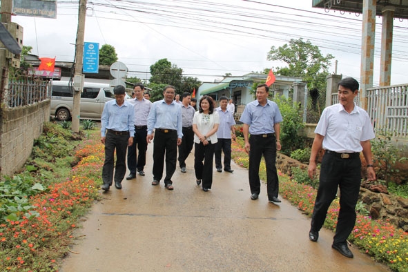 Đoàn công tác của Ban chỉ đạo tổng kết 10 năm Nghị quyết Trung ương 7, khóa X đi thăm con đường hoa ở xã Ea Mnang. 