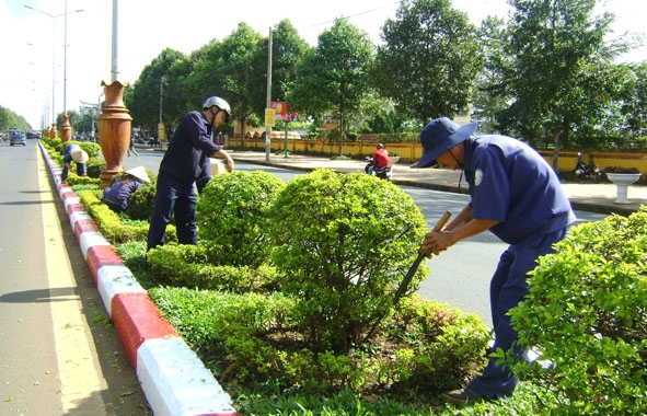 Công nhân Công ty TNHH MTV Đô thị và Môi trường Đắk Lắk cắt tỉa cây xanh trên đường Nguyễn Tất Thành, TP. Buôn Ma Thuột. 