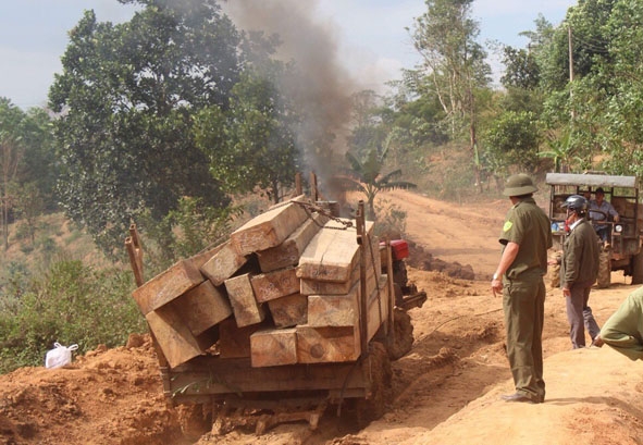 Lực lượng công an xã Krông Á (huyện M'Đrắk) tham gia hỗ trợ tại hiện trường vụ phát hiện vận chuyển gỗ trái phép. 
