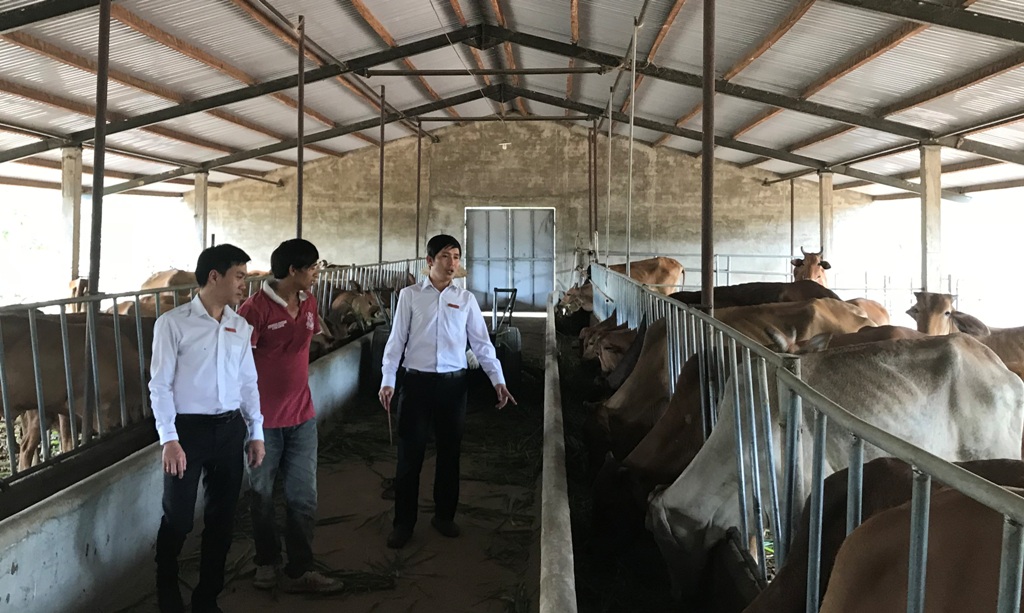 Cán bộ Agribank Bắc Đăk Lăk kiểm tra hiệu quả vốn vay tại một trang trại trên địa bàn huyện Ea Súp
