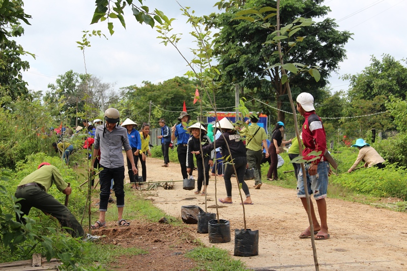 Đoàn viên, thanh niên xã Krông Na ra quan trồng cây xanh tại thôn Thống Nhất