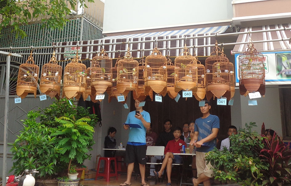 Quán cà phê Chim trên đường Nguyễn Công Trứ (TP. Buôn Ma Thuột - nơi gặp gỡ của những người say mê thú chơi chim vành khuyên.