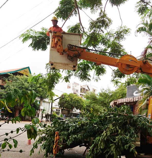 Nhân viên Công ty Điện lực Đắk Lắk cắt tỉa cây ảnh hưởng đến lưới điện.  