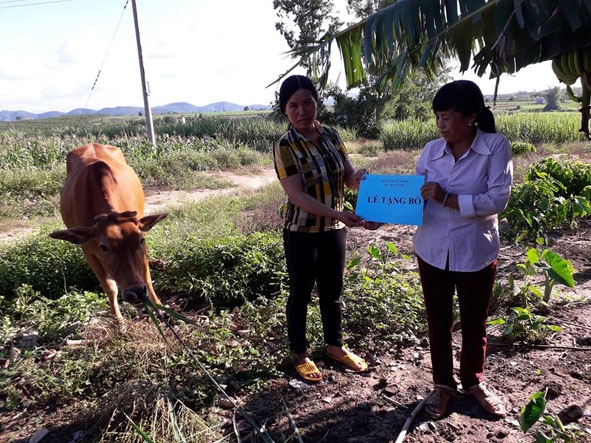 Đại diện Hội LHPN xã Ea Pil tặng con bò sinh sản từ nguồn vốn hỗ trợ phụ nữ nghèo cho chị Triệu Thị Điệp.