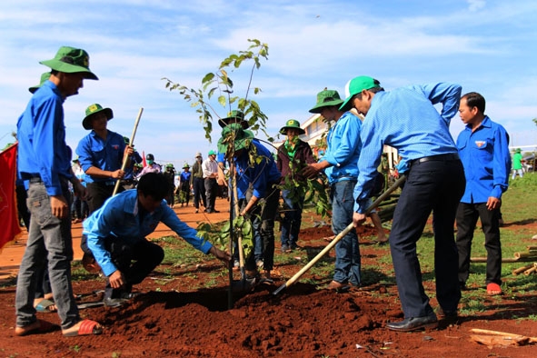 Đoàn viên thanh niên tham gia trồng cây xanh tại xã  Phú Lộc .