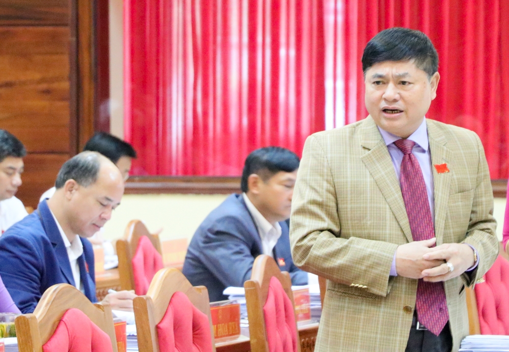 Phó Bí thư Thường trực Tỉnh ủy Phạm Minh Tấn đóng góp ý kiến tại phiên thảo luận. Ảnh: H.Gia