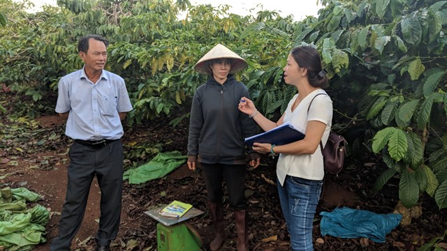 Thành viên Đoàn kiểm tra thu thập thông tin nông hộ tham gia sản xuất cà phê mang Chỉ dẫn địa lý Buôn Ma Thuột tại thị xã Buôn Hồ