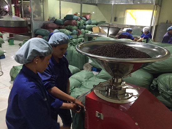chế biến cà phê hòa tan xuất khẩu tại Công ty Cổ phần đầu tư và phát triển An Thái