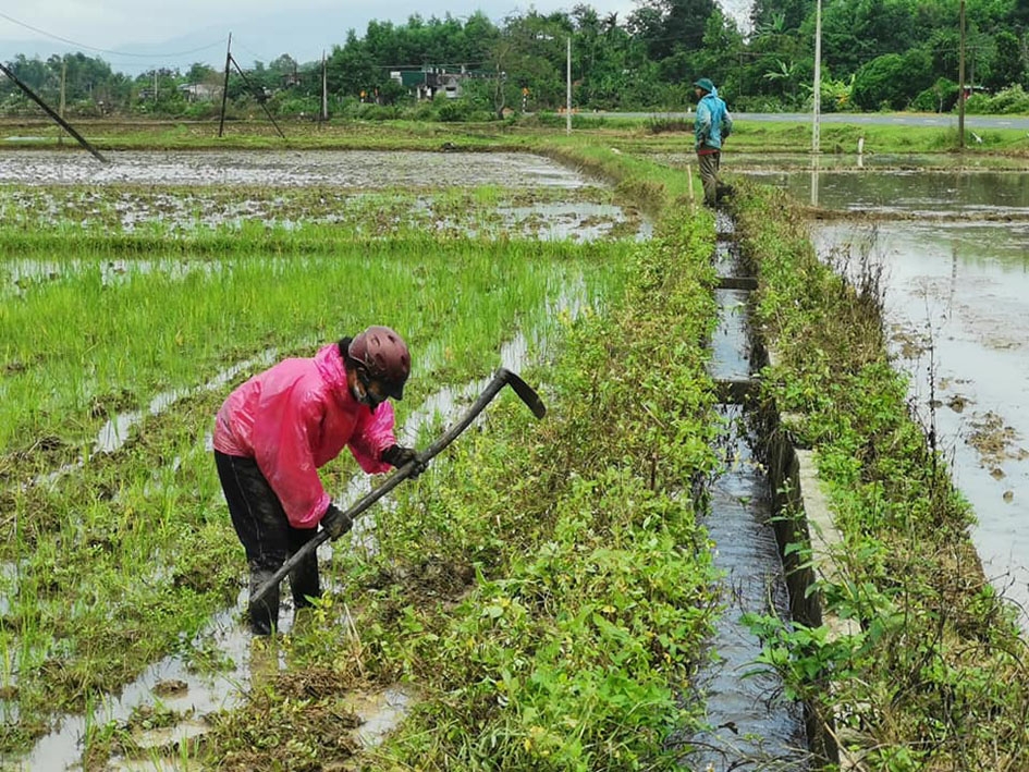 Nông dân thôn 18, xã Cư Mta làm đất, gia cố chân ruộng để sẵn sàng xuống giống khi trời bớt mưa lớn.