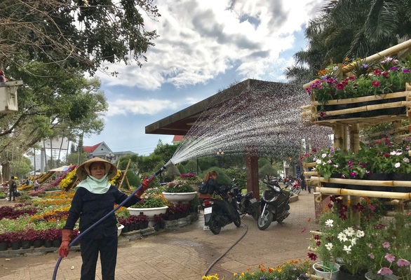 Công nhân đô thị tưới nước, chăm sóc đường hoa Xuân 2018