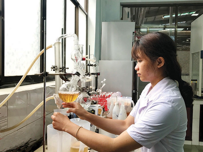 Công đoạn kiểm tra chất lượng sản phẩm tại Nhà máy Bia Sài Gòn - Đắk Lắk.