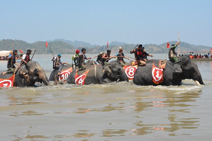 Lễ hội Đua voi năm 2017 diễn ra tại Hồ Lắk. 